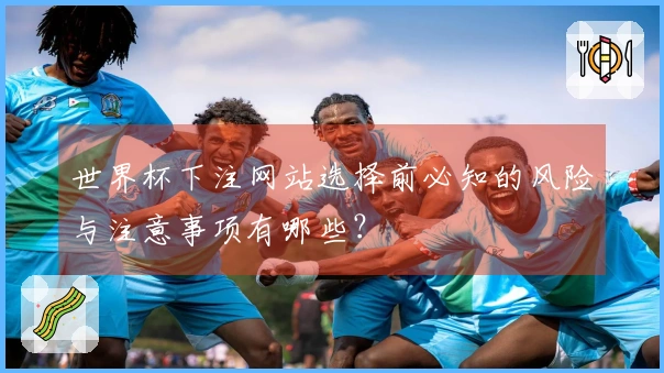 世界杯下注网站选择前必知的风险与注意事项有哪些？