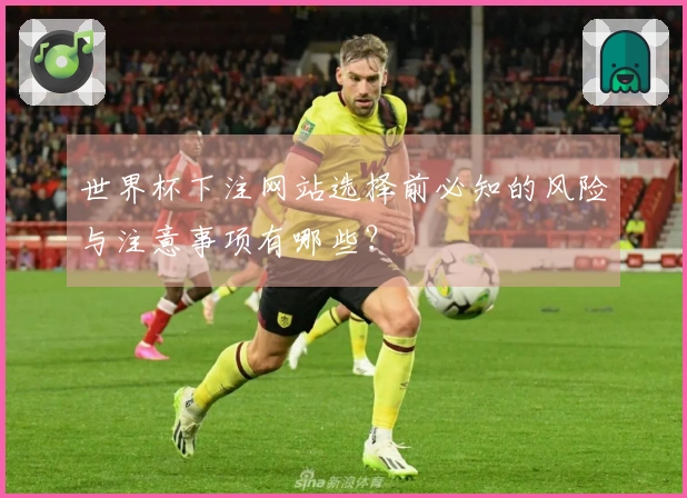 世界杯下注网站选择前必知的风险与注意事项有哪些？