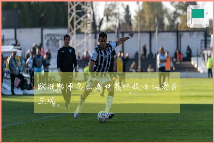 欧洲赔率怎么看世界杯投注站是否正规