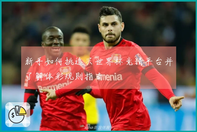 新手如何挑选买世界杯竞猜平台并了解体彩规则指南