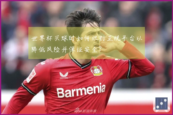 世界杯买球时如何识别正规平台以降低风险并保证安全？