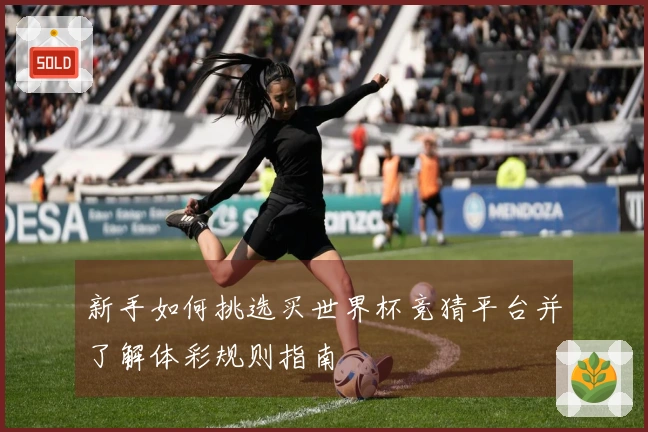新手如何挑选买世界杯竞猜平台并了解体彩规则指南